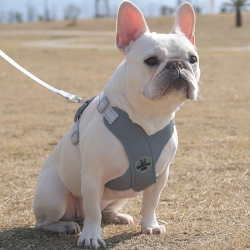 Dog Harness Pet X Frame No Pull Step-in Harnesses with Leash Set, Adjustable Reflective Choke Free Puppy with Padded Vest for Small, Medium Dogs and Cats Walking Training - color: Grey, size: Large