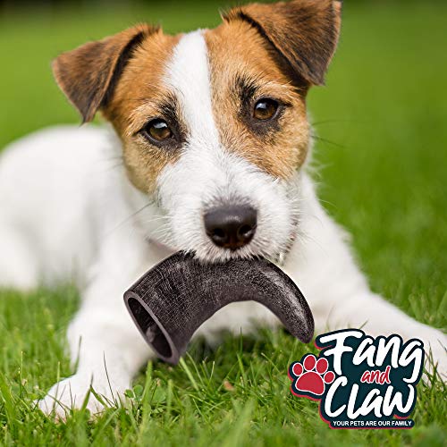 Water Buffalo Horn Dog Chew 4 Pack (Medium 6 Inch), Long-Lasting Natural Chews for Aggressive Chewers, Single-Ingredient, No Rawhide - style: 4 Horns - Medium 6"