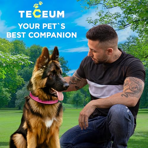 TECEUM Reflective Dog Collar – Hot Pink – XS – Extra Soft Padding – Basic Nylon Pet Collar – Quick Release Buckle – Fits Small, Medium and Large Dogs, Puppies, Cats – ESA & Service Dog Options - color: Hot Pink, size: X-Small