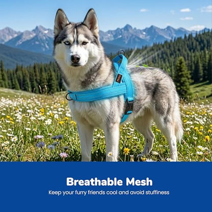 Didog No Pull Dog Harness with Soft Mesh Padded,Reflective & Quick Fit Light Weight Dog Strap Vest Harness,Easy for Walking Training (M:Chest 21-26", Mesh-Blue) - color: Blue, size: M: Chest 21-26", Fit 28-50 lbs