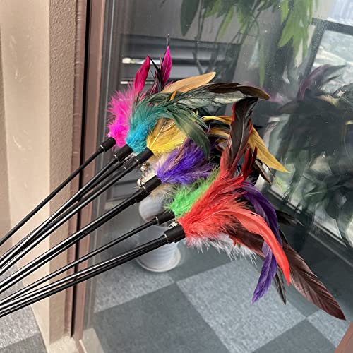 10-Pack Cat Feather Wand Toys with Bell, Natural Feather Interactive Teaser for Indoor Kittens Friendly Cat Toy