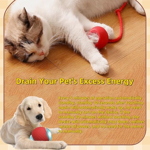 Interactive Dog Cat Toy Ball, Automatic Moving Bouncing Rolling, with Replacement Tail, Pet Smart Chase Ball Rechargeable, Enrichment Toys for Bored Indoor Adult Cats/Dogs (Green) - color: Green