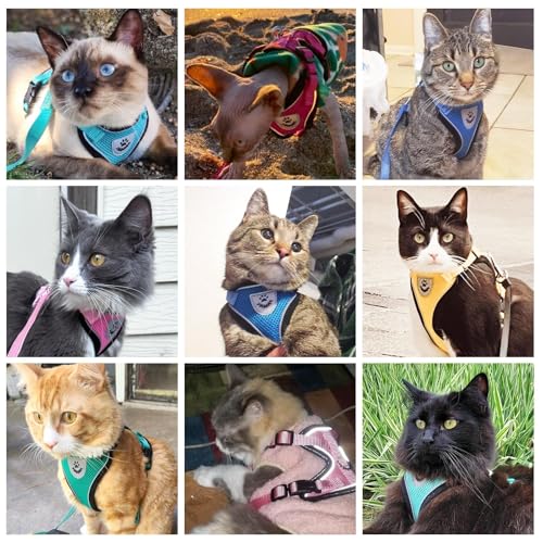 PUPTECK Cat Harness and Leash Set Escape Proof Reflective Cat Walking Harness Adjustable Soft Breathable Mesh Vest for Small Pets, Sky Blue, XS - color: Sky Blue, size: XS (NECK 8.5", CHEST 11"-14")