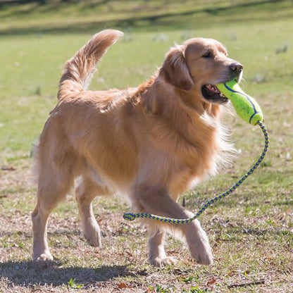KONG AirDog Stick Lg