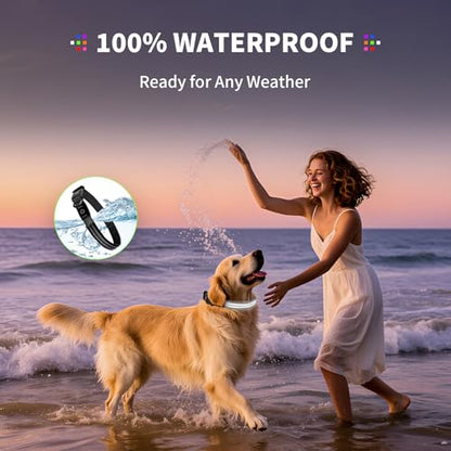 Dog Light up Collar for Night Walking - High Visibility LED Dog Collar - Rechargeable - Waterproof - Reflective - Adjustable Lighted Glow Collars(White,Large) - color: White, size: Large (18" - 23")