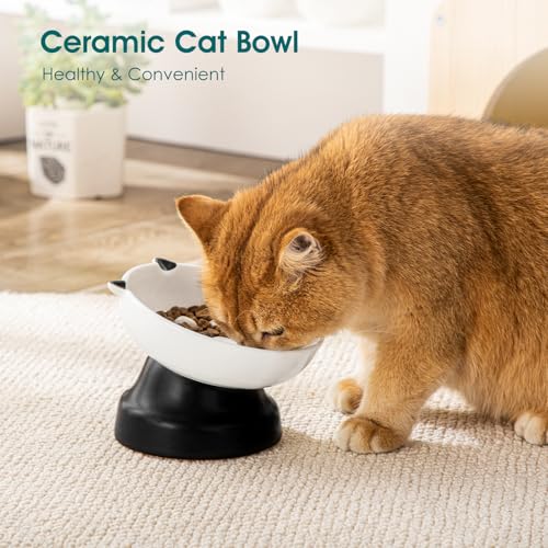 vancasso Slow Feeder Cat Bowls, Ceramic Elevated Slow Feeder Cat Bowls, Raised Food Bowl for Wet Food (Black) - color: Black