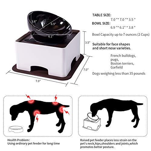 Raised Tilted Dog Feeding Bowl,Elevated Ceramic Dog Bowls Set Anti-Slip,Standing Pet Feeding Dish for Small Medium Dogs and Cats,Black - color: Black
