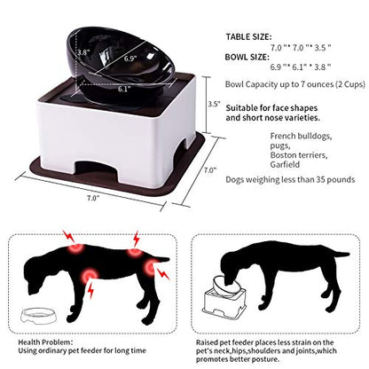 Raised Tilted Dog Feeding Bowl,Elevated Ceramic Dog Bowls Set Anti-Slip,Standing Pet Feeding Dish for Small Medium Dogs and Cats,Black - color: Black
