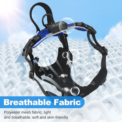 LED Dog Harness - No Pull Light Up Rechargeable Reflective Glow Vest for Sizes Small to Large - color: Blue, size: L