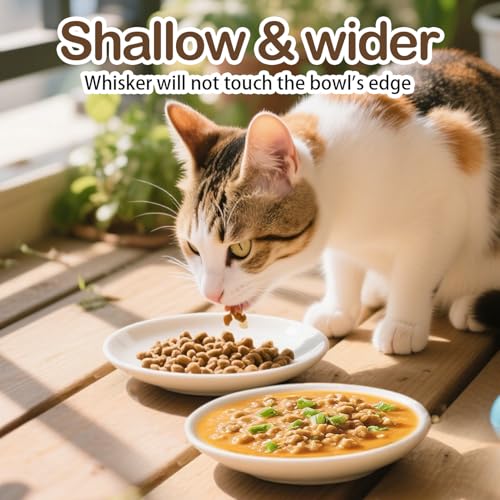 Cat Food Bowl Set of 6, Ceramic Cat Bowls, Anti Whisker Fatigue Cats Bowl Set,5.9 Inches Shallow Wide Kitten Plates for Wet/Dry Food, Indoor Pets (Paw) - color: Cat Paw