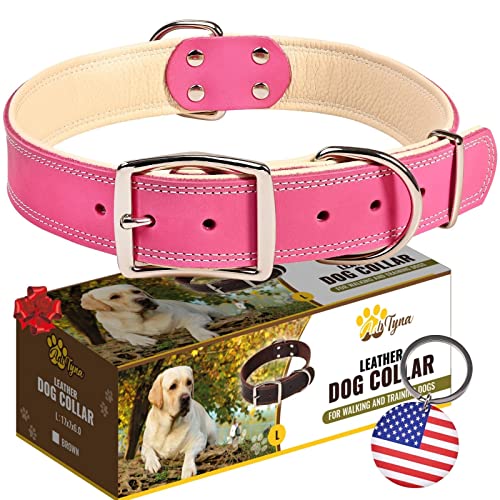 ADITYNA Heavy-Duty Pink Leather Dog Collar for Large Dogs - Lined with Soft Leather - Girl Dog Collar for Walking, Training, and Hiking - color: Pink, size: Large: Fit 17-23" Neck