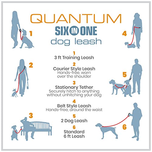 Kurgo Quantum 6-in-1 Dog Leash, Multi-Use Dog Lead for Walking & Running, Adjustable, Hands-Free Option, Coastal Blue - color: Coastal Blue