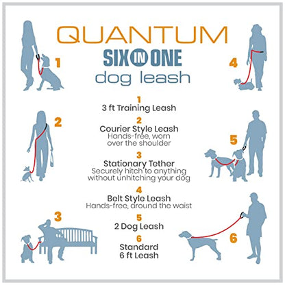 Kurgo Reflective 6-in-1 Quantum Dog Leash, Barn Red - color: Barn Red