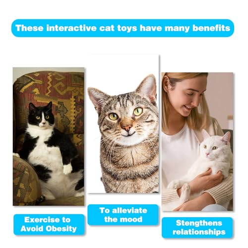 Retractable Cat Toy Wand, 12 Packs Interactive Cat Feather Toys, 9 Assorted Teaser Refills with Bell for Kitten (Pink) - size: 12 PCS