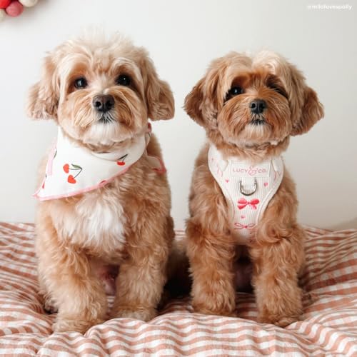 Lucy & Co. Ever So Sweet No-Pull Dog Harness, Adjustable Front Clip Harness with Comfort Padding, Small - color: Ever So Sweet, size: Small
