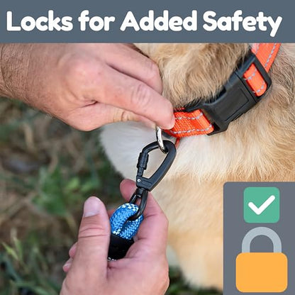 6 Foot Dog Leash, Two Extra Padded Handles, Locking Carabiner Clip, Reflective for Night Visibility, Weatherproof, Heavy Duty Rope Leash, Roam Gear (Blue) - color: Blue