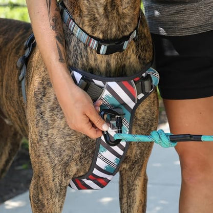 Embark Adventure Small Dog Harness – No-Pull, Reflective Trim, Military-Grade Nylon, Front Clip with Gel-Lined Handle - color: Maverick, size: S