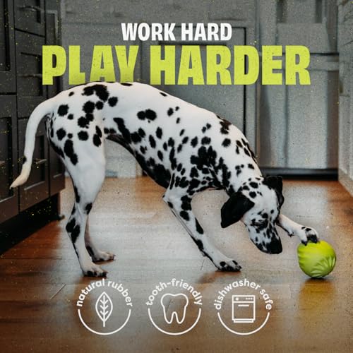 Benebone Pawbler - Natural Rubber Interactive Enrichment Treat and Kibble Dispensing Dog Toy – Great for Boredom - Medium/Large - size: 1 Pack, style: Pawbler