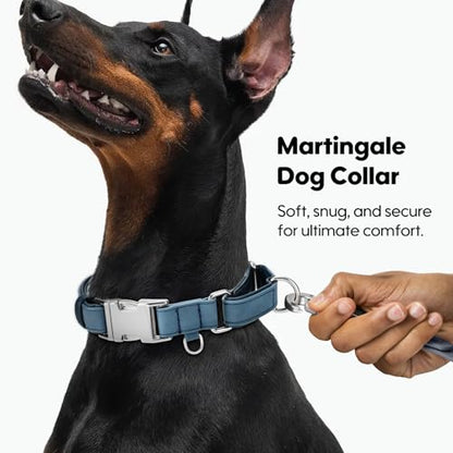 WHIPPY Vegan Leather Dog Collar No Slip Martingale Dog Collar with Quick Release Metal Buckle for Large Medium Small Dogs,Blue - color: blue, size: M:Fit 13-16" Neck