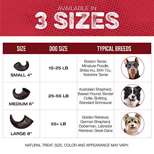 Water Buffalo Horn Dog Chew 4 Pack - Small 4" - All Natural Free Range Grass Fed Single Source Protein - No Chemicals, Additives, Hormones - Long Lasting, Good for Aggressive Chewers – by Fang & Claw - style: 4 Horns - Small 4"