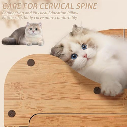 2-Tier Cat Scratcher House with Cardboard Scratch Pads, Indoor Cat Condo Playhouse with Hanging Toys, Cat Hideout & Scratching Furniture for Kittens and Cats