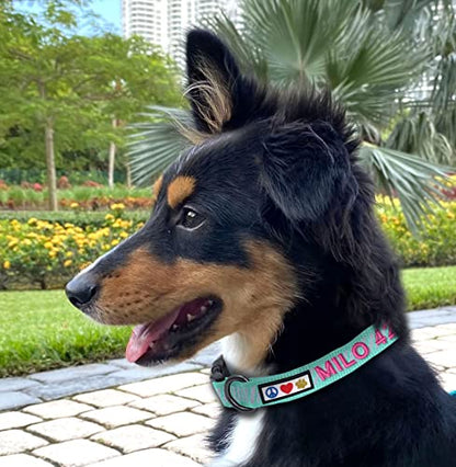 Pawtitas Reflective Dog Collar Reflective Thread Reflective Dog Collar Personalized Name Phone Number Adjustable Collar for Small Dogs Extra Small Puppy Blue Dog Collar Extra Small Breeds - color: Customized Blue, size: X-Small (Pack of 1)