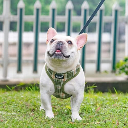 PUPTECK Soft Mesh Dog Harness and Leash Set Pet Puppy Cat Comfort Padded Vest No Pull Harnesses, Olive Green, XS - color: Olive Green, size: XS (NECK: 10", CHEST: 10"-14")