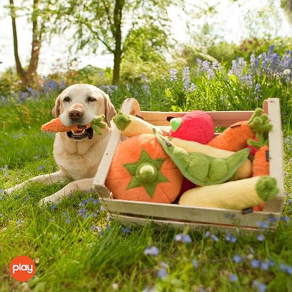 P.L.A.Y. Cute Plush Dog Toys - Fruit & Vegetable Themed Durable Squeaker Chew Toy, Great for Puppies & Small, Medium, Large Dogs - Machine Washable, Recycled Materials (5 Piece Set) - color: Multi, size: Medium