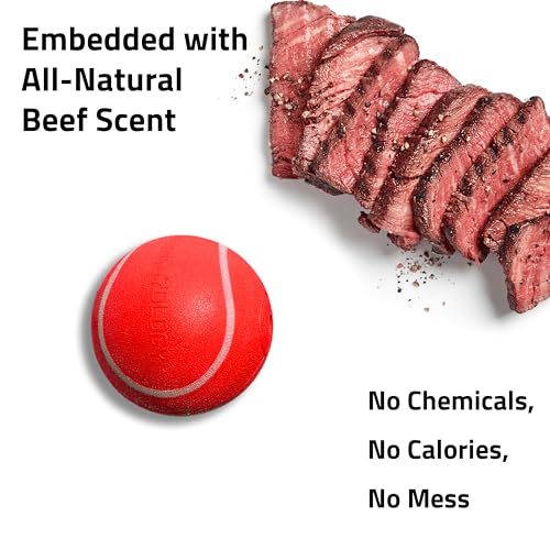 Playology Dog Toys | Squeaky Chew Ball - Bouncy Durable Floating Fetch Ball for Dogs | Jumbo Beef Scented Toy - Easy to Clean and Made from Non Toxic Materials - size: Jumbo, style: Beef