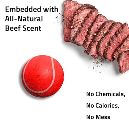 Playology Dog Toys | Squeaky Chew Ball - Bouncy Durable Floating Fetch Ball for Dogs | Jumbo Beef Scented Toy - Easy to Clean and Made from Non Toxic Materials - size: Jumbo, style: Beef