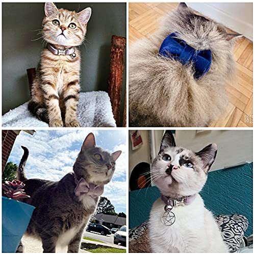 Cat Collar Personalized with Name Phone Number Engraved,Customized with Bell for Small Dogs Puppy Kitten - color: Purple, size: S (6"-10")