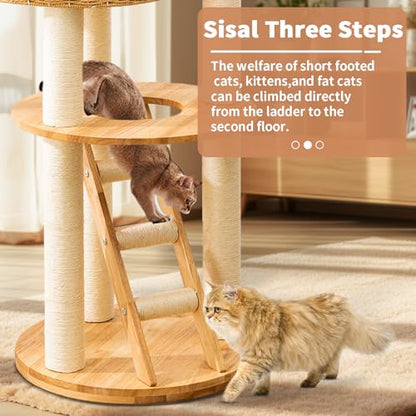 Big Modern Design Cat Tree Tower, Cat Tower Sisal-Covered Scratching Posts for Indoor Cats, Natural Oak Wood Cat Tree for Large Cats, Multi-Level Cat Condo with Sisal Staircase - color: DC999