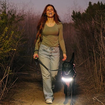 Lumi One LED Dog Harness for Night Visibility and Safety, Patent Pending – Light-Up Dog Vest, Reflective, Adjustable, Rechargeable, Durable, High-Visibility Pet Gear (Pink, Medium) - color: Pink, size: Medium