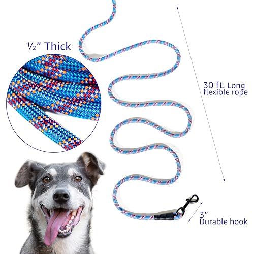 Pet Fit For Life Heavy Duty 30 Ft Bungee Tie Out Cable for Safe Outside Dog and Puppy Yard Play with Stretch Resistance and Dual Clasps - Pairs with PFFL Dog Anchor Stake for Small/Medium/Large Dogs