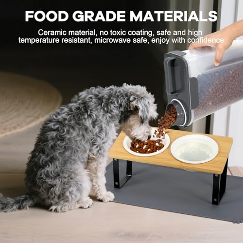 LEAWALK Upgraded Adjustable Height Cat Food Bowls Stand Ceramic Dog Bowls and Slow Feeder Cat Bowl, 15°Tilted Stand Anti Vomiting Raised for Small and Medium Sized Cats Dogs (Creamy White) - color: Creamy White