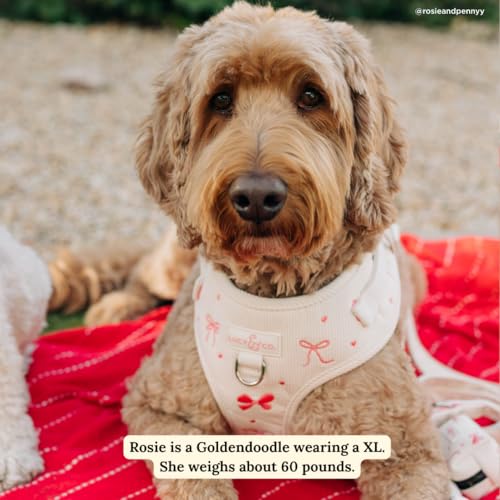 Lucy & Co. Ever So Sweet No-Pull Dog Harness, Adjustable Front Clip Harness with Comfort Padding, Small - color: Ever So Sweet, size: Small