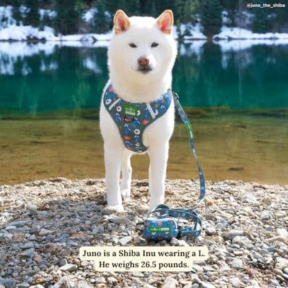 Lucy & Co. x Parks Project Power to the Parks No-Pull Dog Harness, Adjustable Front Clip Harness with Comfort Padding, Small - color: Power to the Parks, size: Small