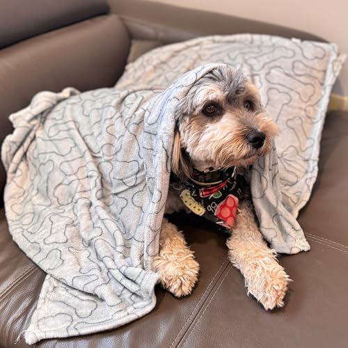 SPOT Snuggler Bones Blanket - Ultra Soft, Machine Washable Dog Blanket for Beds, Furniture Protection, Travel, and Crates - 40 x 60 inch, Grey Fleece Throw with Bone Print Design - size: 40 x 60", style: Bones Print