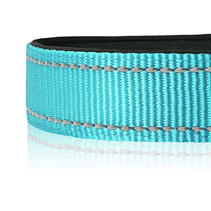 HEELE Dog Collar, Reflective Dog Collar, Soft Neoprene Padded Breathable Nylon Pet Collar Adjustable for Small Dogs, Sky Blue, S(10.23-14.96") - color: Sky Blue, size: Small (10.23-14.96")