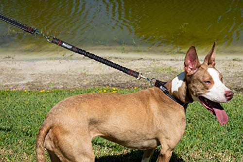 Leash Boss Pattern Bungee Dog Leash Extension, 18" Shock Absorbing Lead Extender, Pattern Collection (18 Inch, Black Reflective) - color: Black Reflective
