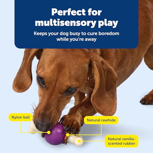 PetSafe Busy Buddy Bouncy Bone, Treat Holding Dog Toy, Small, Best for Dogs Up to 10 Lb. - size: Small, style: 3-in-1 Slow Feeder Toy