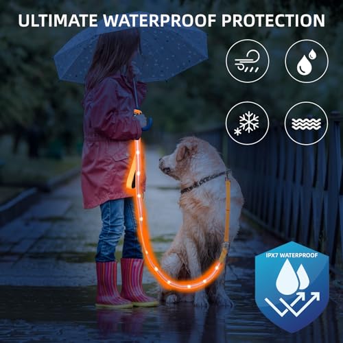 Light up Dog Leash for Night Walking - USB C Rechargeable - Waterproof - Dog Leashes with Flashlight - LED Leash for Dogs - 6Ft, Blue - color: Blue