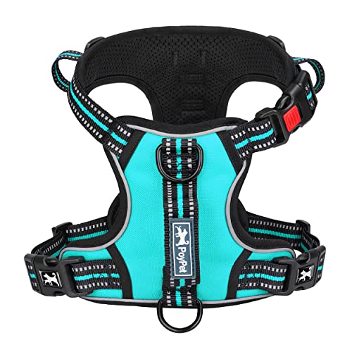 PoyPet No Pull Dog Harness, No Choke Front Clip Reflective Dog Vest with Soft Padded Vertical Handle, 3 Leash Attachments for Small Medium Large Dogs (Mint Blue,L) - color: Mint Blue, size: Large