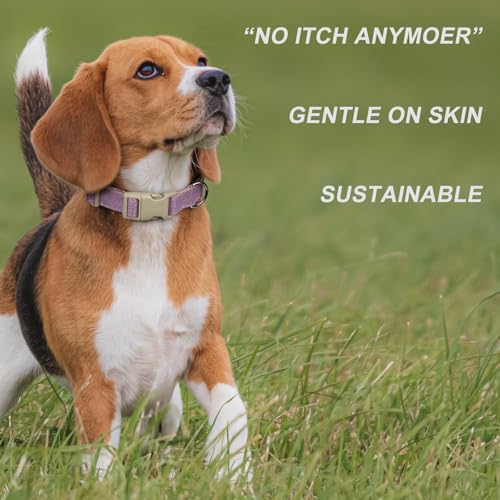 Plutus Pet Cotton Hemp Dog Collar and Leash Set, Adjustable Collar for Small, Medium, and Large Dogs, Heavy Duty and Soft on Skin, Lavender, S - color: Lavender, size: Small
