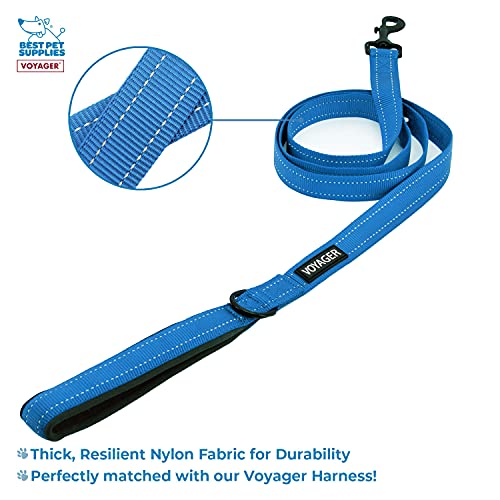 Voyager Dog Harness Dual Leash Attachment No-Pull Control Adjustable Soft but Strong Pet Harness for Medium and Large Dogs with 3M Reflective Technology, Leash Set Royal Nylon, XS (Chest: 13-16") - color: Leash Set Royal Nylon, size: XS (Chest: 13 - 16")