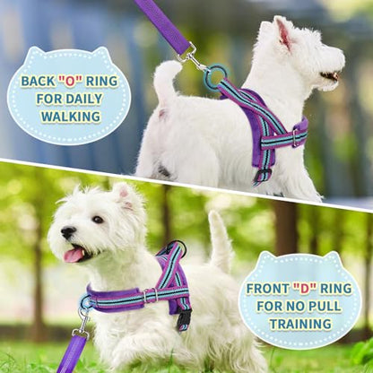 SlowTon No Pull Small Dog Harness and Leash Set, Puppy Soft Vest Harness Neck & Chest Adjustable, Reflective Lightweight Harness & Anti-Twist Pet Lead Combo for Small Medium Dogs (PU-Front Clip, XXS) - color: B-Purple - With Front Clip, size: XX-Small
