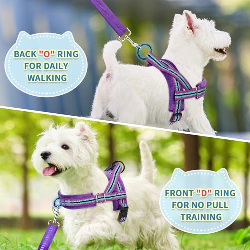SlowTon No Pull Small Dog Harness and Leash Set, Puppy Soft Vest Harness Neck & Chest Adjustable, Reflective Lightweight Harness & Anti-Twist Pet Lead Combo for Small Medium Dogs (PU-Front Clip, XS) - color: B-Purple - With Front Clip, size: X-Small