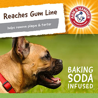 Arm and Hammer for Pets Super Treadz Gator Dental Chew Toy for Dogs - Reduces Plaque and Tartar Without Brushing, Baking Soda Infused, Dishwasher Safe, Dogs Up to 35 Lbs - size: Large (Pack of 1), style: Gator