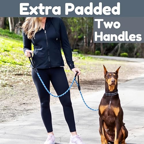 6 Foot Dog Leash, Two Extra Padded Handles, Locking Carabiner Clip, Reflective for Night Visibility, Weatherproof, Heavy Duty Rope Leash, Roam Gear (Blue) - color: Blue