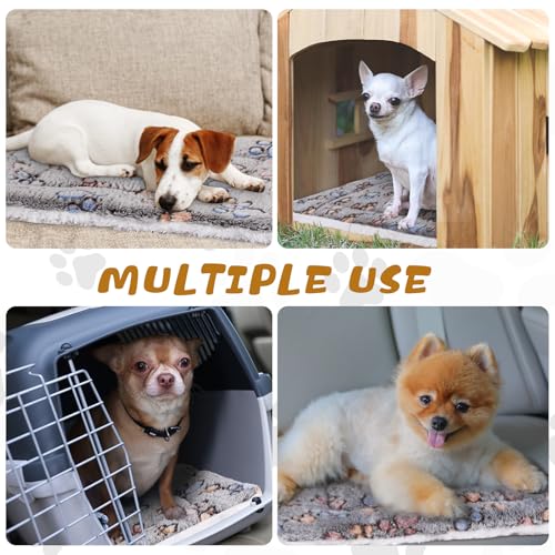 Tuanse 4 Pack Ultra Soft Dog Cat Bed Mat Small Animal Guinea Pig Bed with Cute Print Reversible Fleece Dog Crate Kennel Pad Cozy Washable Thickened Hamster Pet Beds Mat(21 x14 Inches,Light Gray) - color: Light Gray, size: 21 x 14 Inches